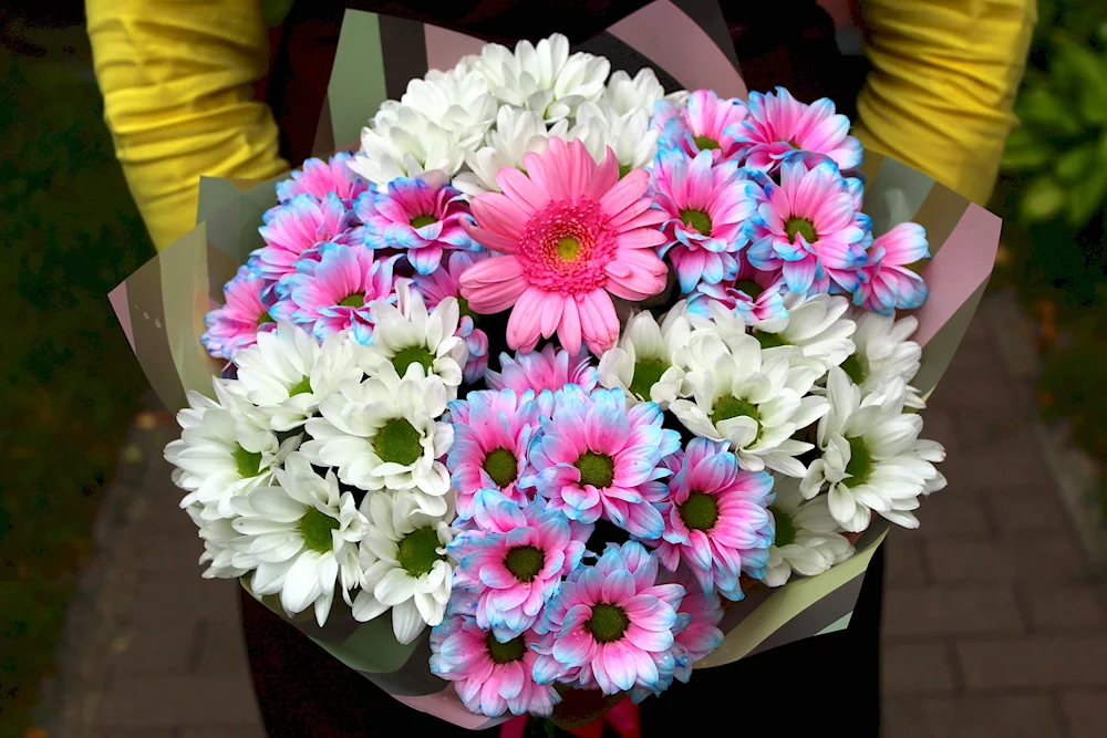 Chrysanthemum Gustav bouquet