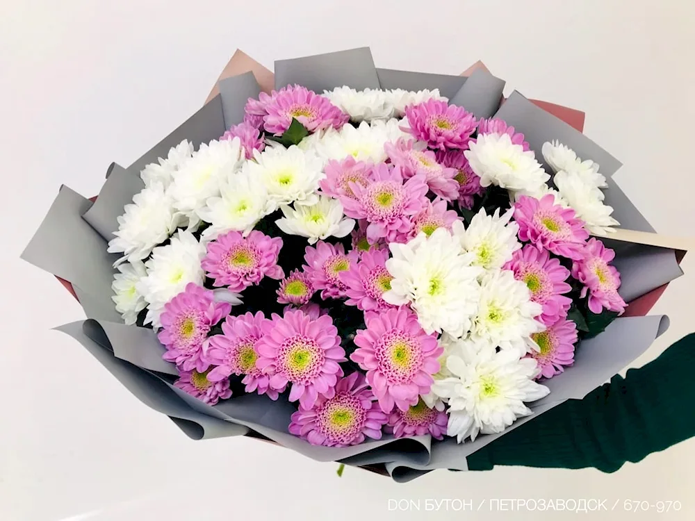 Chrysanthemum bushy VIP