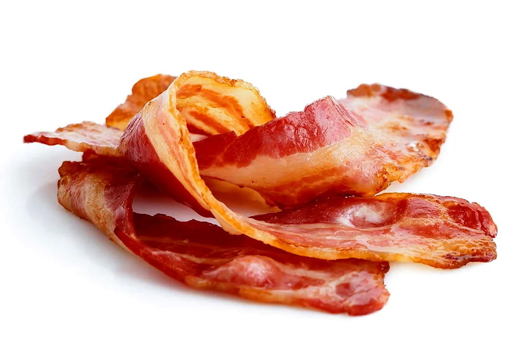 Bacon