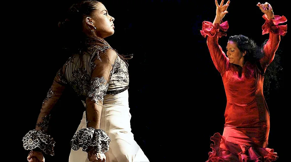 Flamenco. abstract