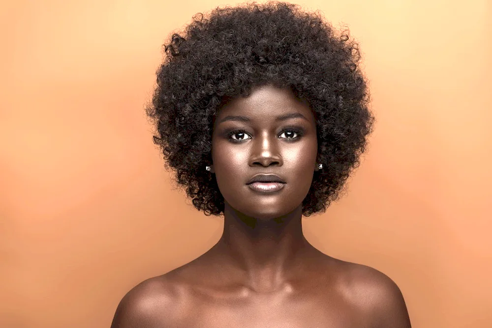 Hoodia Diop