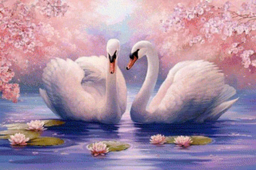 Beautiful swans