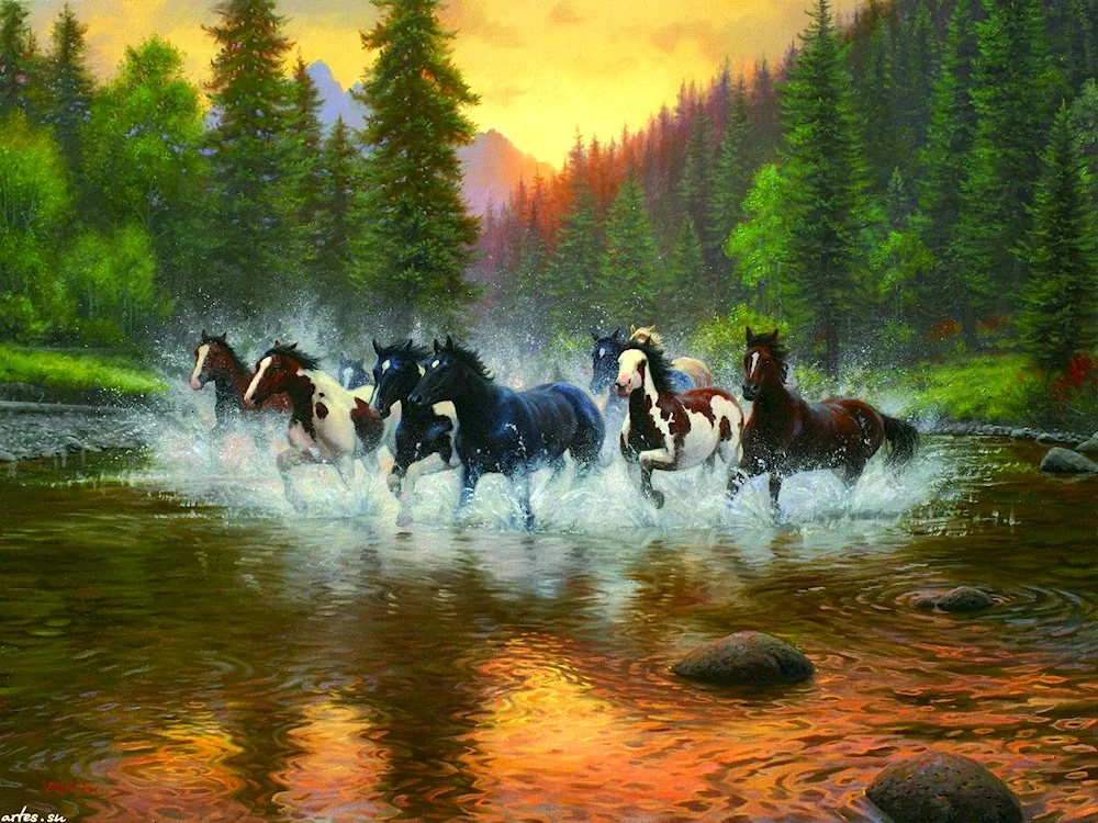 Arabian horse Mustang