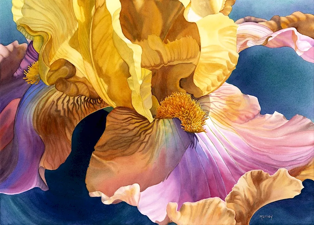 Marina Skromova irises