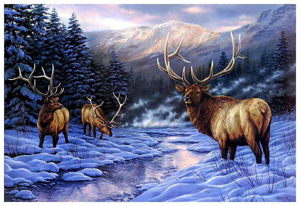 The silver deer in winter