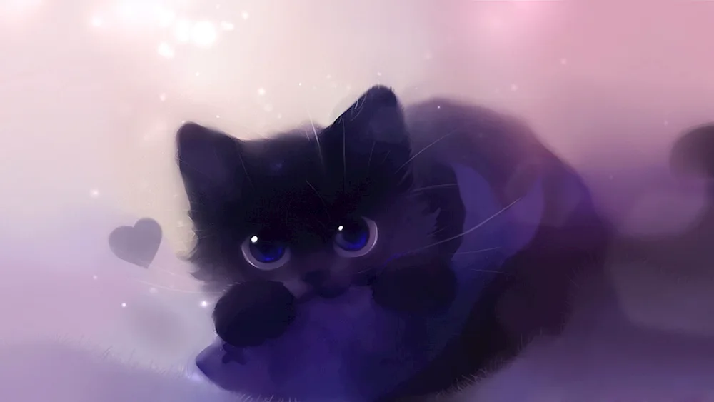 Cat on the window