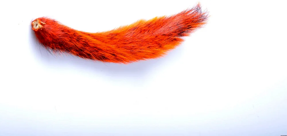 Anal Plug with Red Foxtail tail