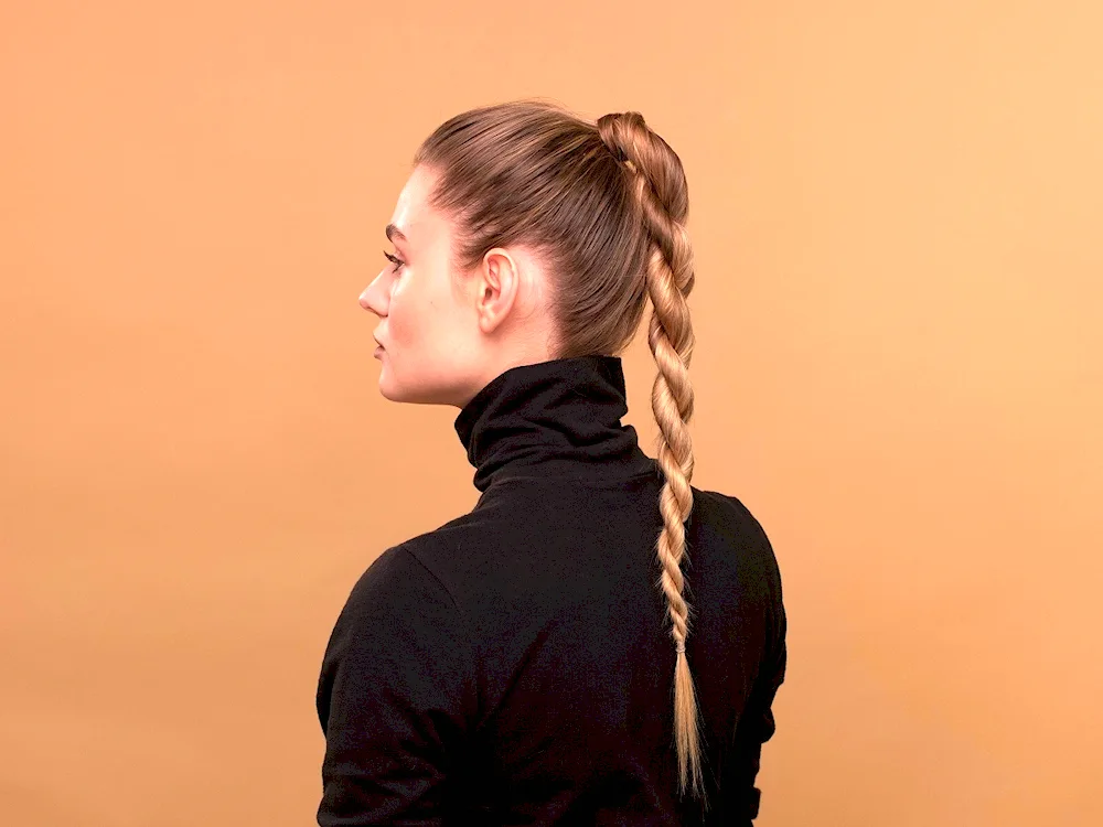 Braid hairstyles