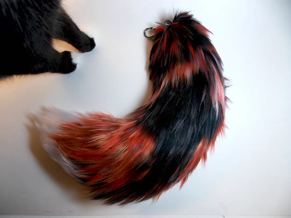 Animal Tails