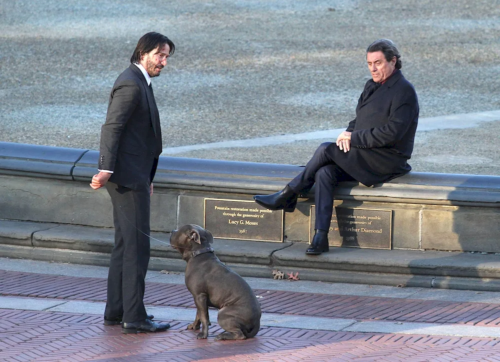 Keanu Reeves John Wick