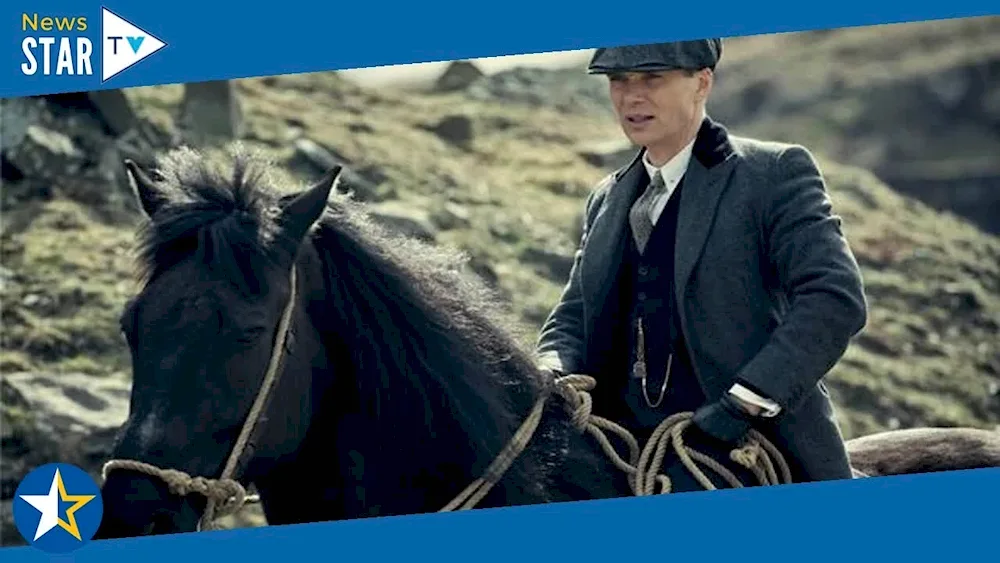 Sharp visors thomas shelby. Trump TV series 2013-2022