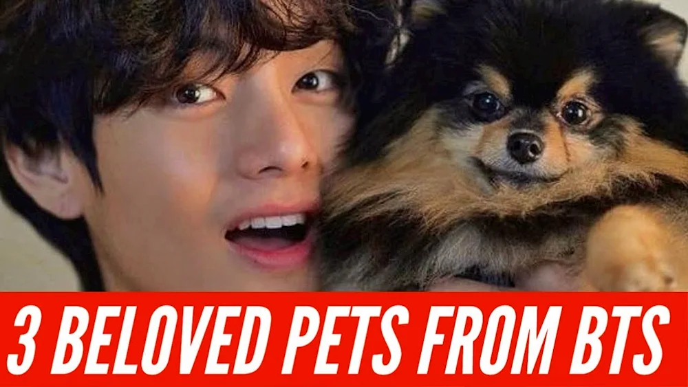 Kim Yeontan