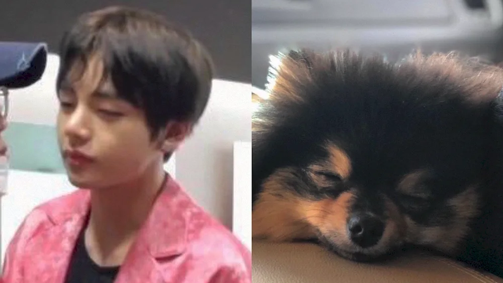 BTS Taechen with his dog