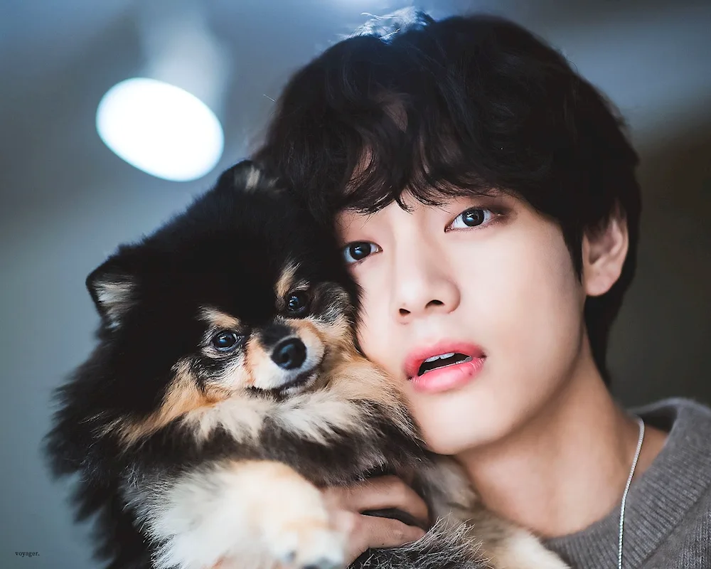 Kim Taehyun Dispatches 2020