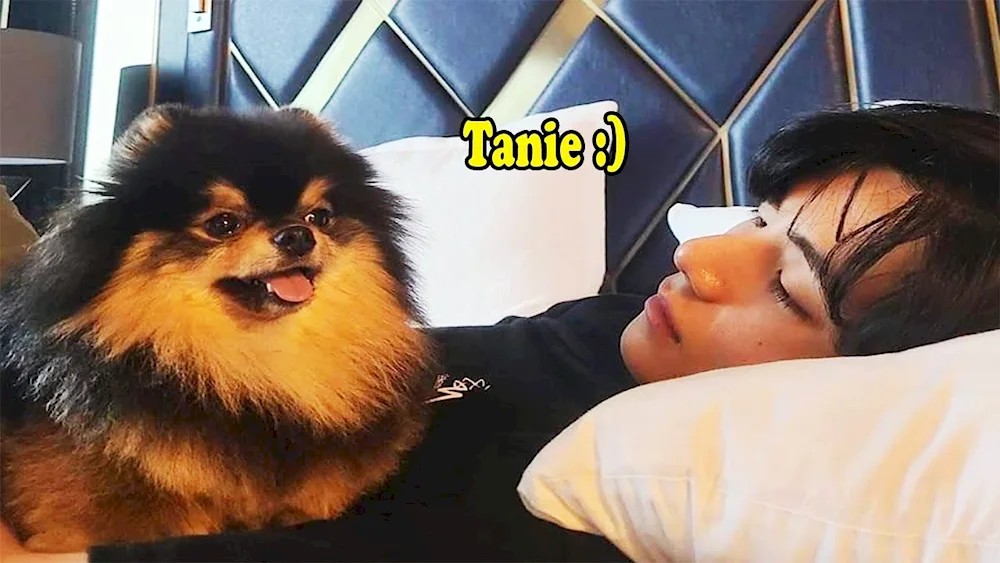 Kim Taehyun and Yeontan