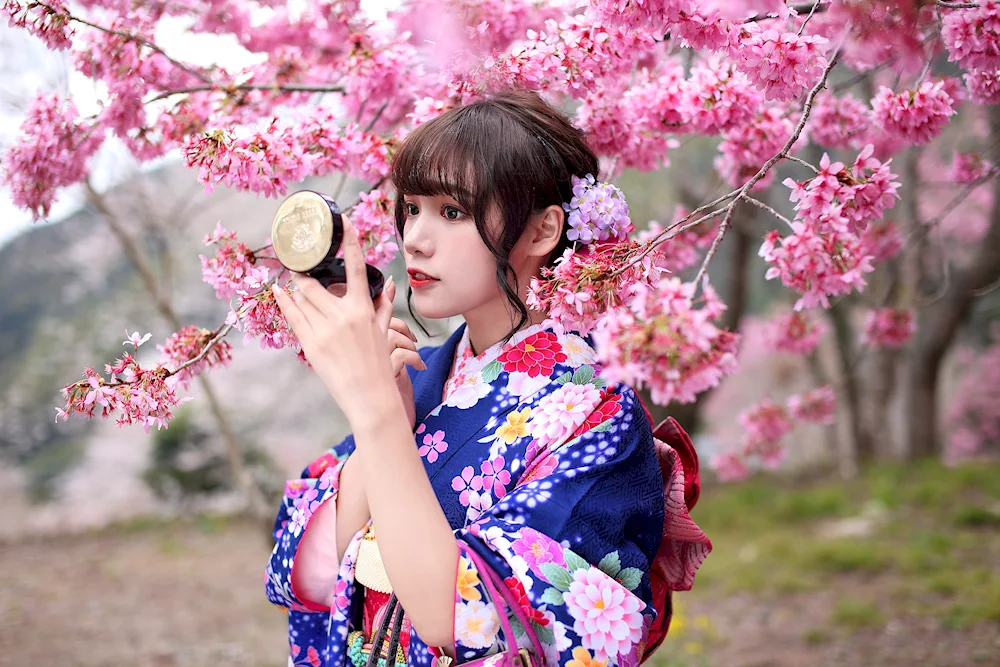 Kimono Sakura