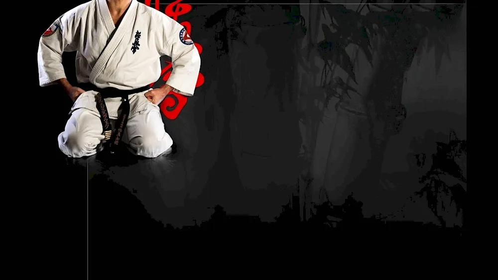 Kyokushinkai karate Japan