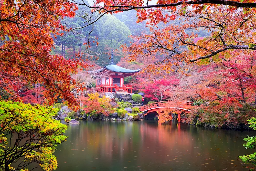 Kyoto Japan nature