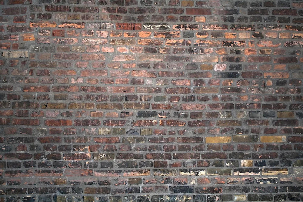 Wall texture