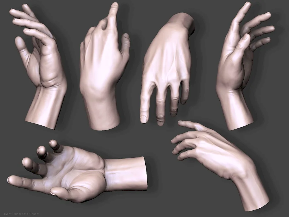 Hand reference