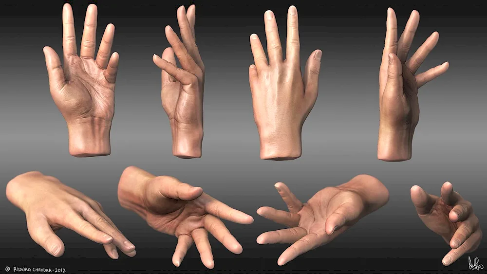 Hand reference 3d