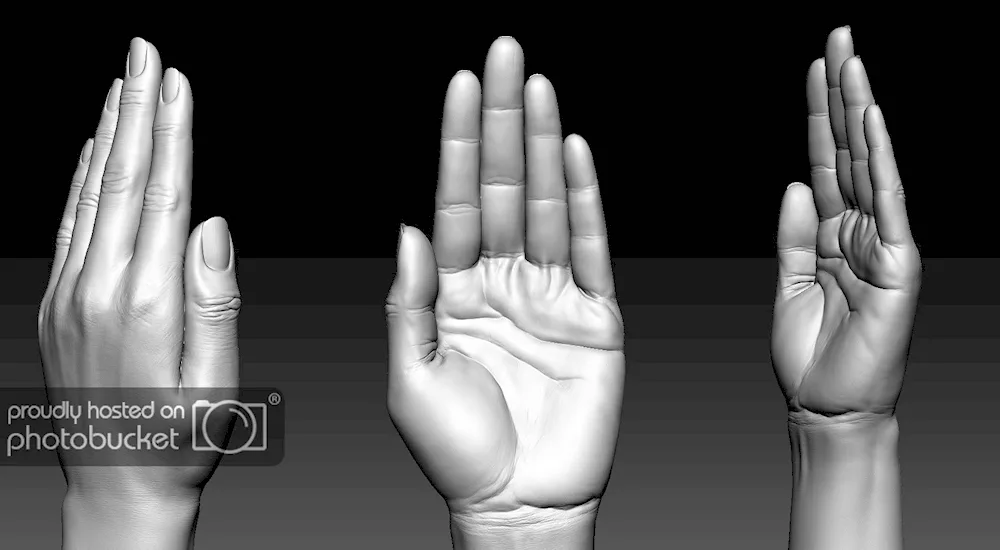 Hand reference
