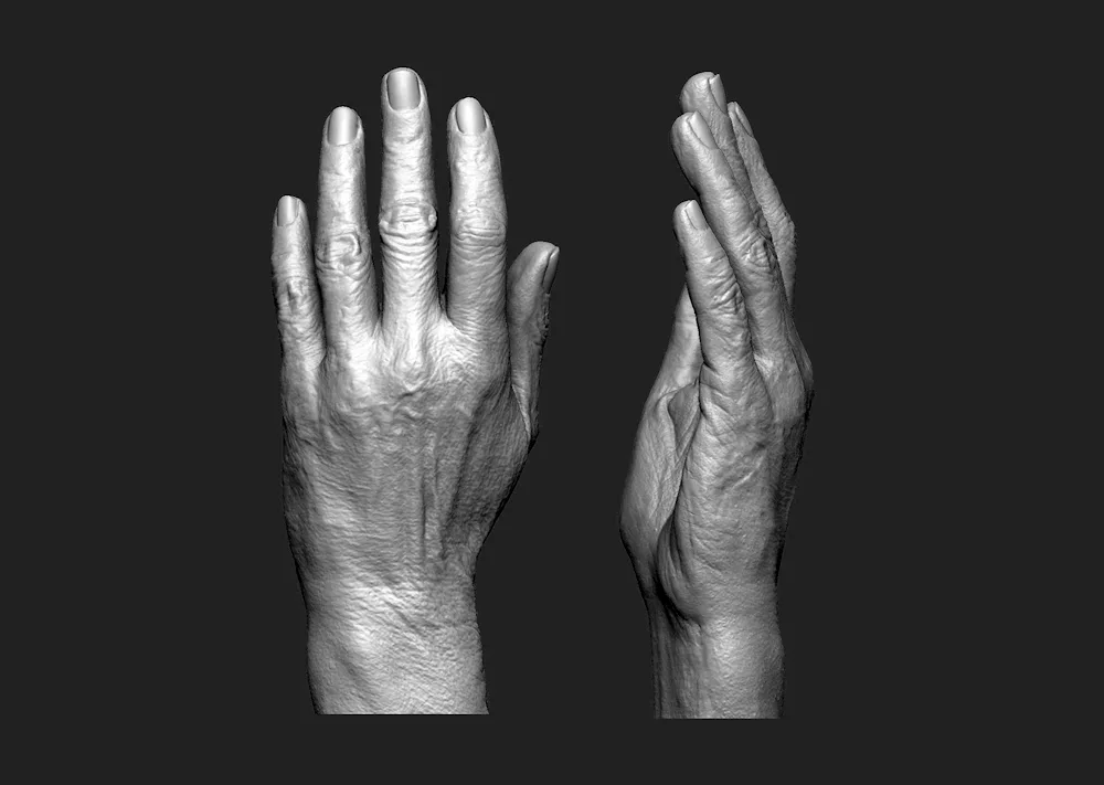 Hands reference