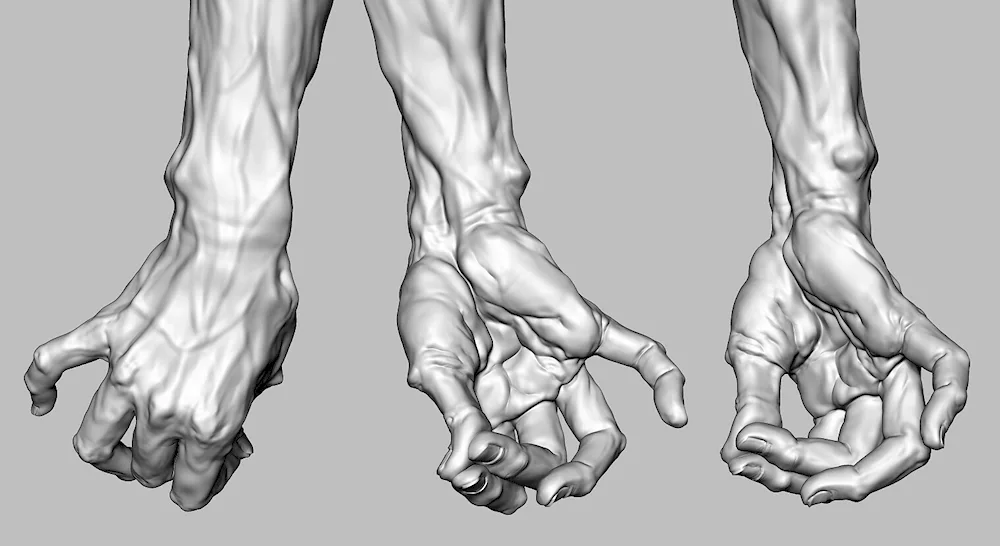 Hand hand for drawing references