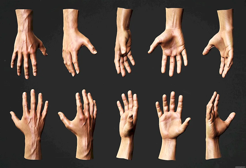 Hand reference