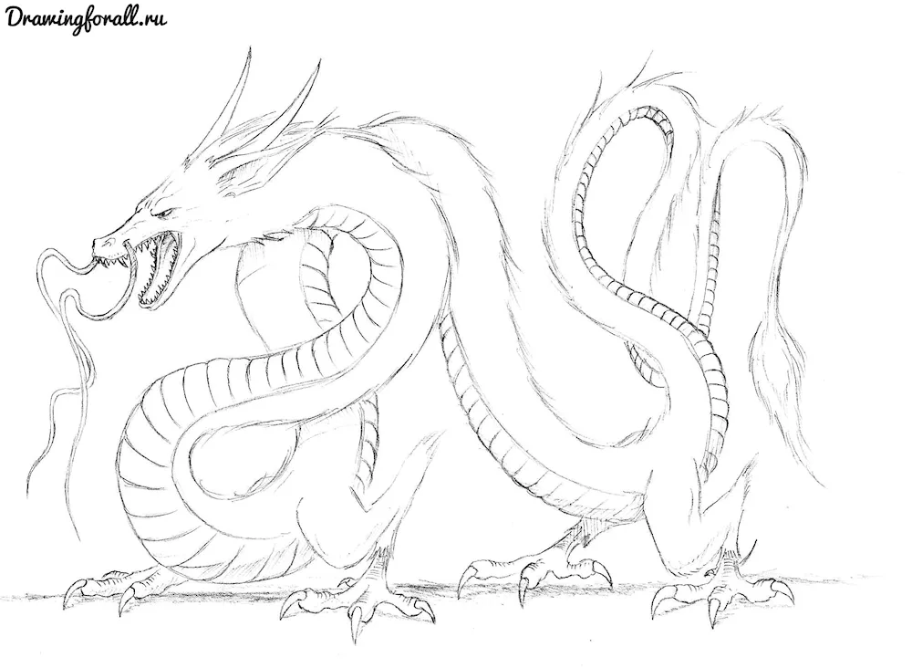 Dragon drawings for drawing