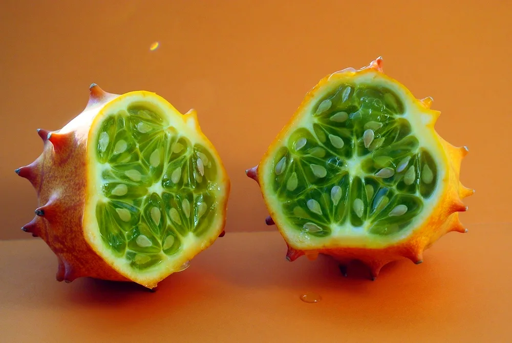 Dragon fruit pitahaya