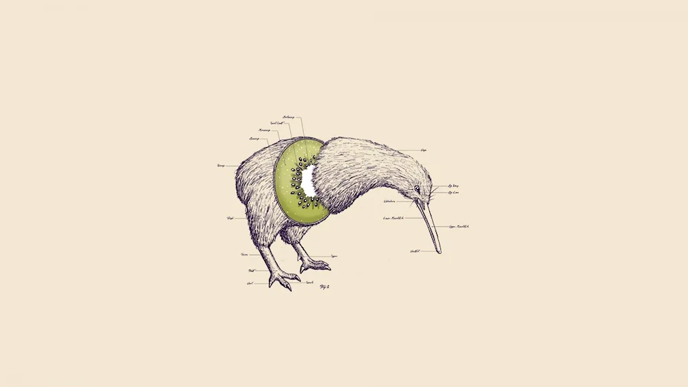 Kiwi bird