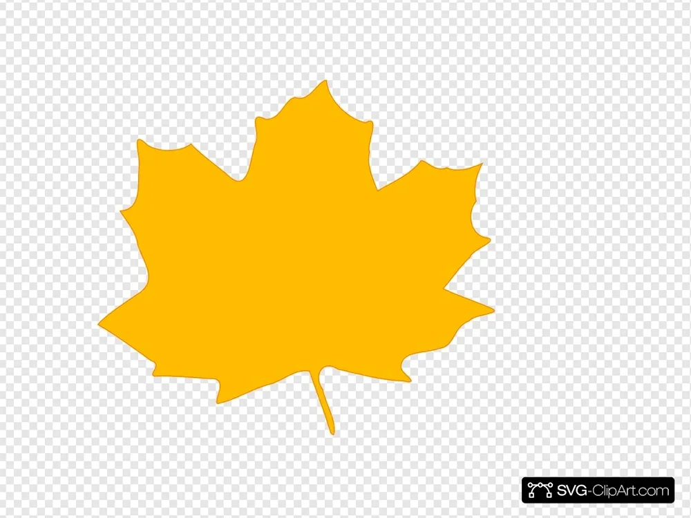 Maple leaf