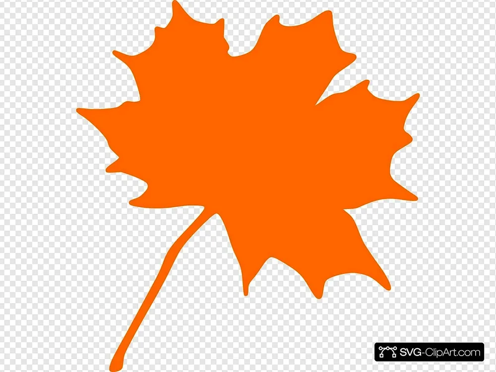 Maple leaf