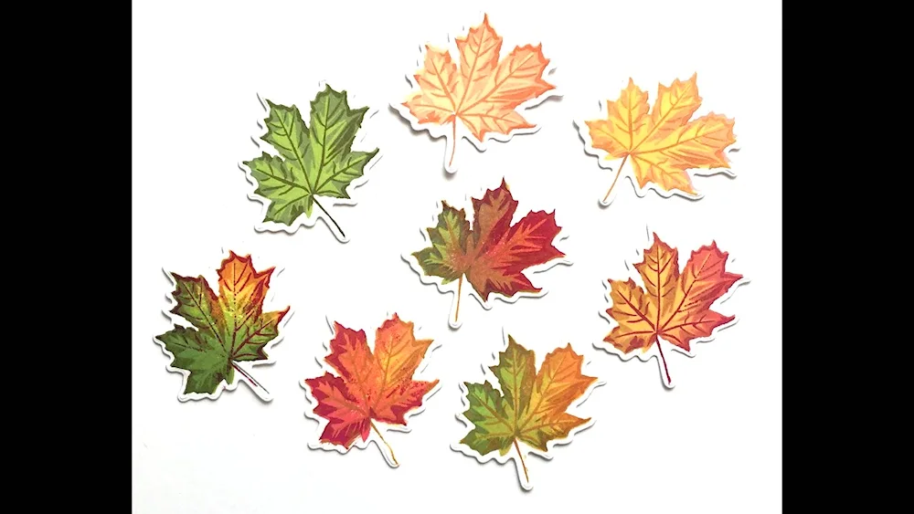 Leaf outline