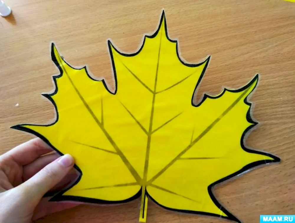 Maple leaf colouring