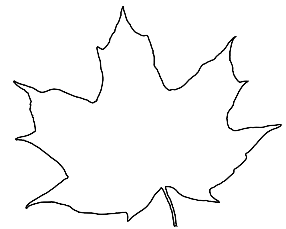 Maple leaf outline