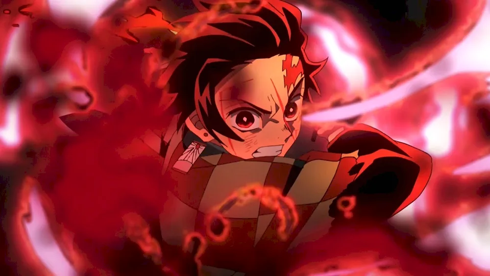 Demon Slayer Kimetsu