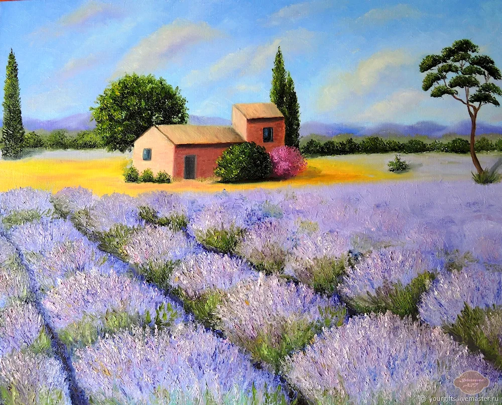 Lavender Fields Christian Jaeckel