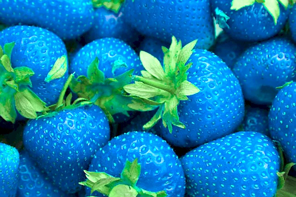 Blueberries and blackberries