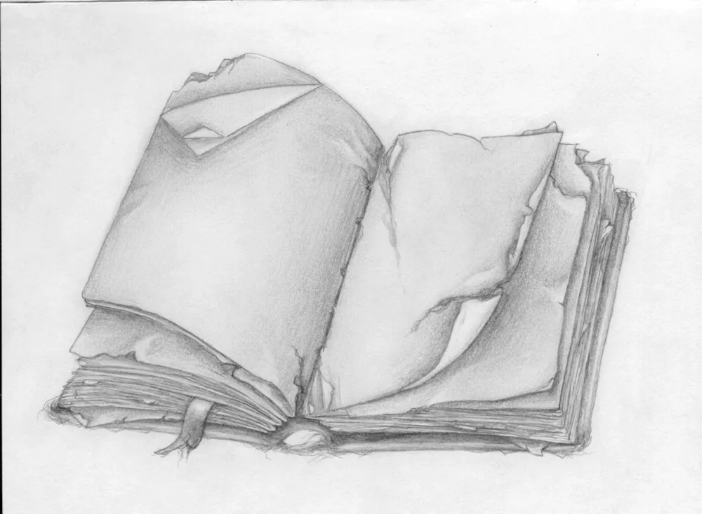 Book sketch