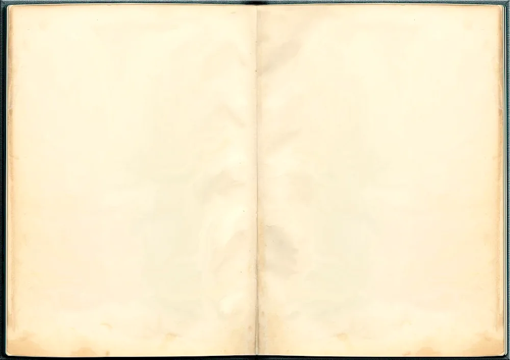 Book page background