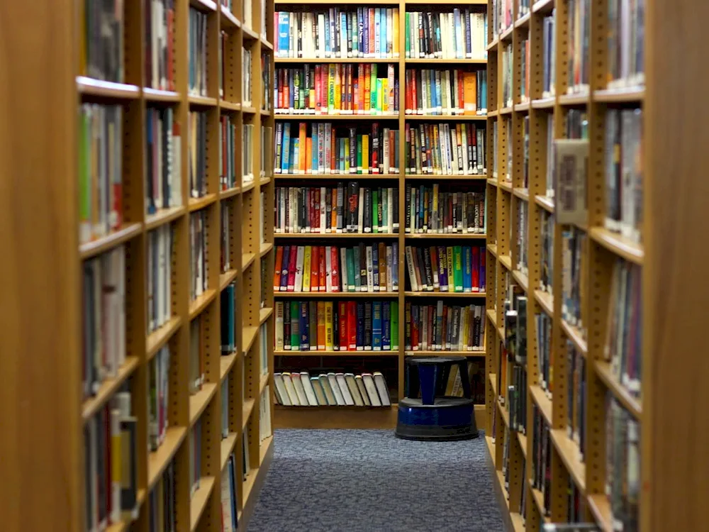 Book shelves in the library