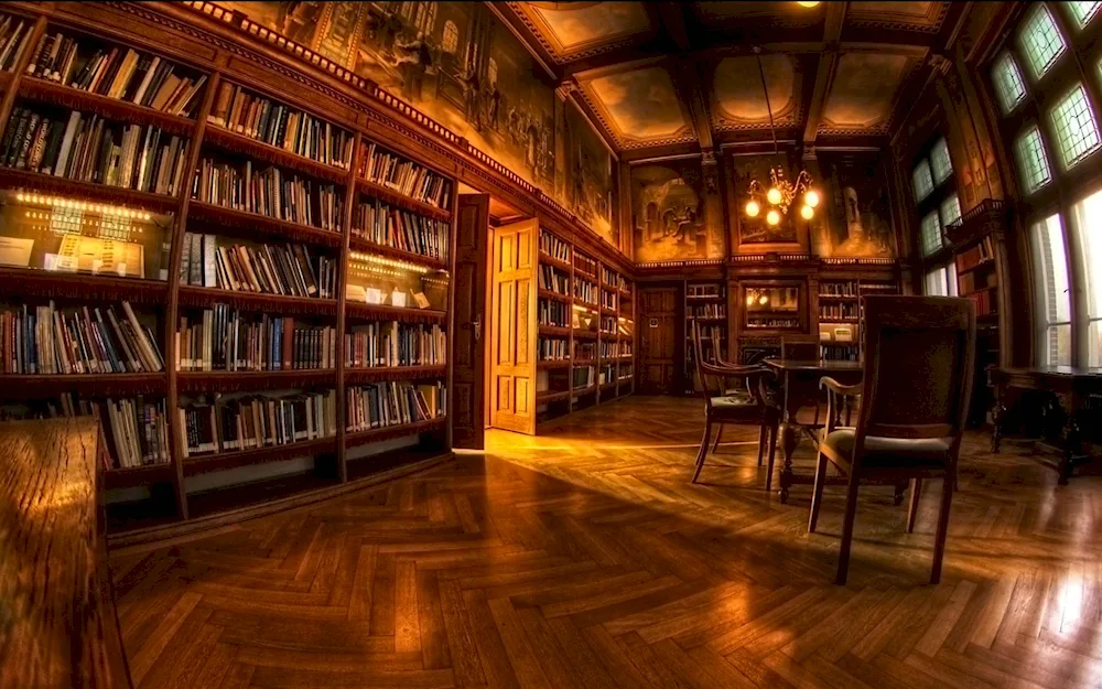 Book shelves