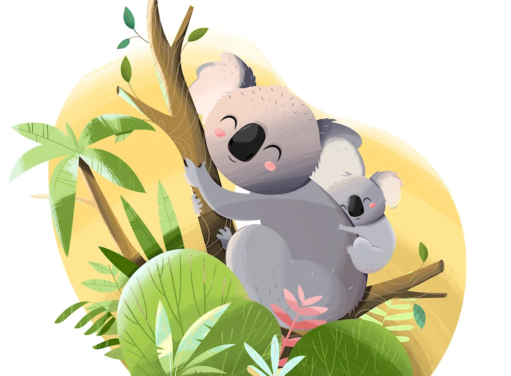 Koala