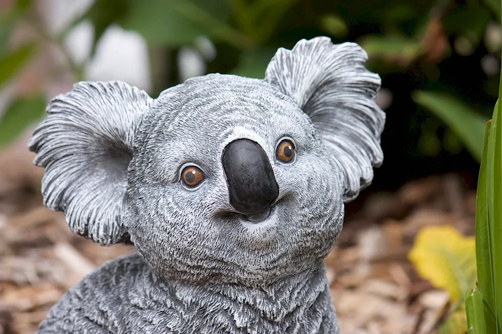 Wet koala