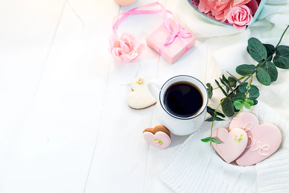 Breakfast in bed for a girl