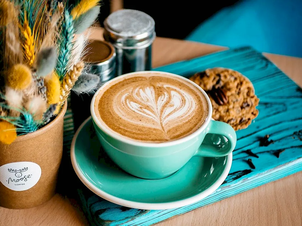 Moose Coffee