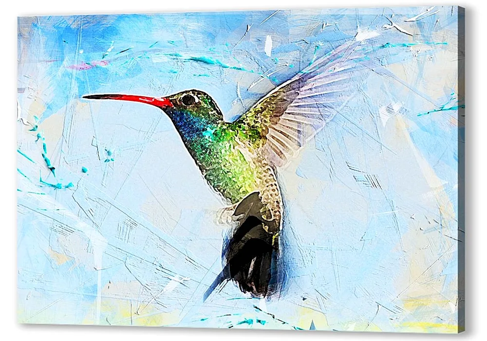 Tropical birds
