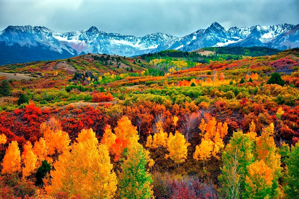 Autumn mountain park